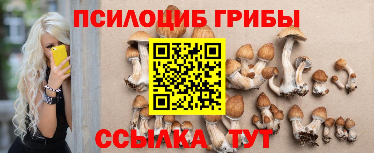 Галлюциногенные грибы Magic Shrooms  Галлюциногенные грибы Psilocybe  Вход с VPN  Кирово-Чепецк 