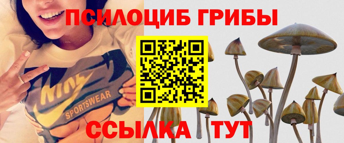Псилоцибиновые грибы MAGIC MUSHROOMS Кирово-Чепецк